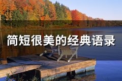 简短很美的经典语录(精选52句)