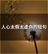 人心太假太虚伪的短句(50句)