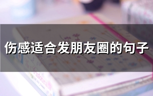 伤感适合发朋友圈的句子(精选65句)