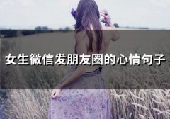女生微信发朋友圈的心情句子(79句)