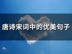 唐诗宋词中的优美句子(69句)