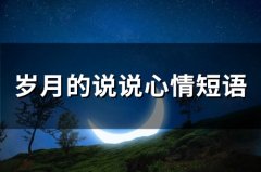 岁月的说说心情短语(78句)