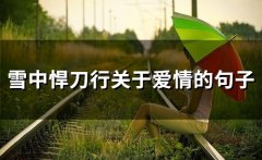 雪中悍刀行关于爱情的句子(71句)