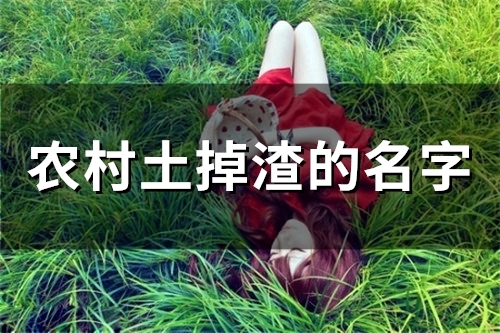 农村土掉渣的名字(78个) 农村土掉渣的名字(78个)