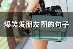 爆笑发朋友圈的句子(精选73句)