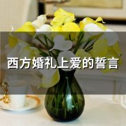 西方婚礼上爱的誓言(58句)