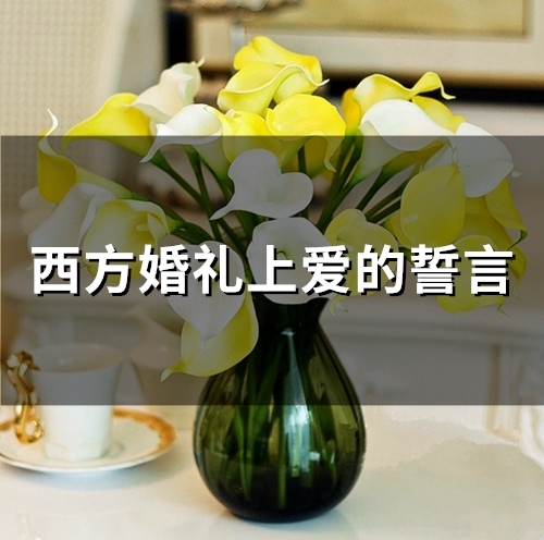西方婚礼上爱的誓言(58句)