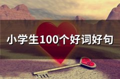 小学生100个好词好句(100句)