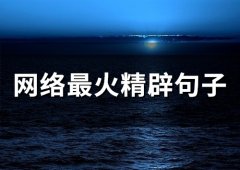 网络最火精辟句子(精选78句)