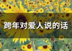 跨年对爱人说的话(69句)
