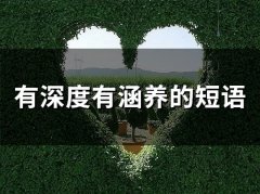 有深度有涵养的短语(精选65句)