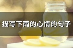 描写下雨的心情的句子(79句)