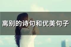 离别的诗句和优美句子(41句)