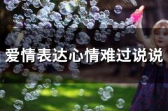 爱情表达心情难过说说(精选67句)
