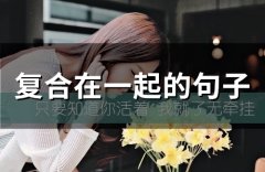 复合在一起的句子(79句)