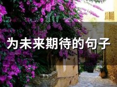 为未来期待的句子(74句)