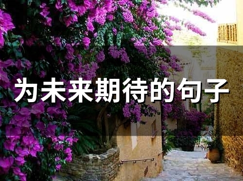 为未来期待的句子(74句)