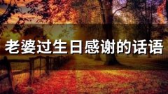 老婆过生日感谢的话语(62句)