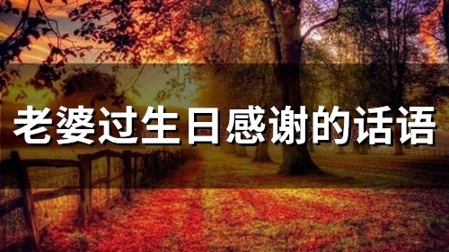 老婆过生日感谢的话语(62句)