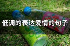 低调的表达爱情的句子(80句)