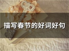 描写春节的好词好句(精选57句)