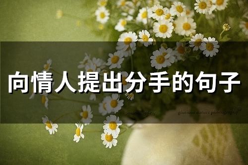 向情人提出分手的句子(64句)