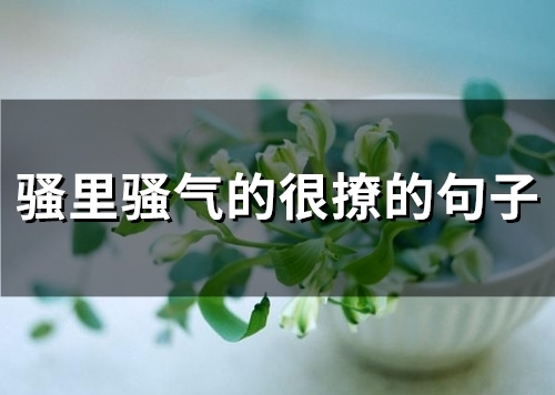 骚里骚气的很撩的句子(67句)