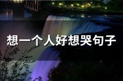 想一个人好想哭句子(精选68句)