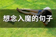 想念入魔的句子(精选60句)
