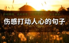 伤感打动人心的句子(66句)