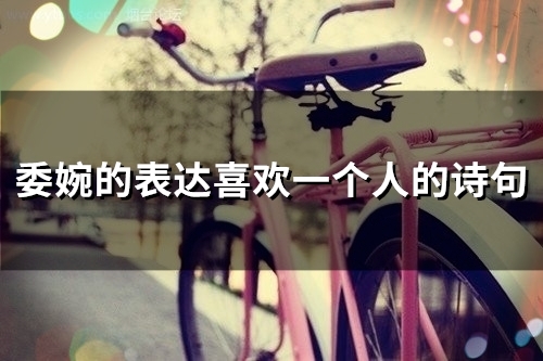 委婉的表达喜欢一个人的诗句(精选34句)