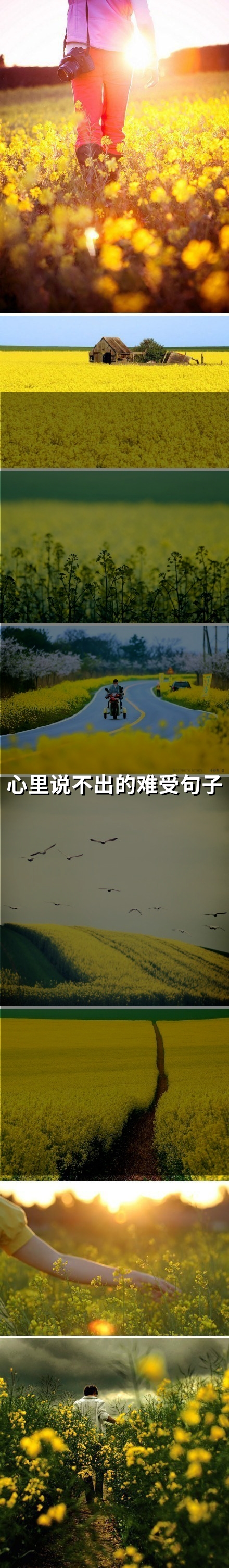 心里说不出的难受句子(69句)