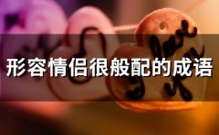 形容情侣很般配的成语(精选45句)