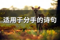 适用于分手的诗句(42句)