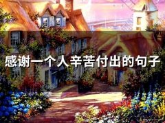 感谢一个人辛苦付出的句子(精选36句)