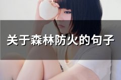 关于森林防火的句子(58句)