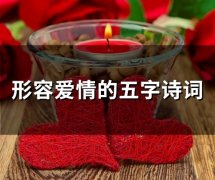形容爱情的五字诗词(66句)