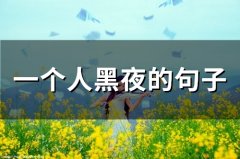 一个人黑夜的句子(66句)
