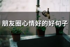 朋友圈心情好的好句子(精选56句)