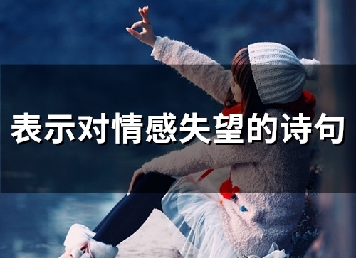 表示对情感失望的诗句(42句)