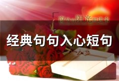 经典句句入心短句(精选65句)