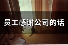 员工感谢公司的话(精选34句)