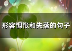形容惆怅和失落的句子(精选67句)