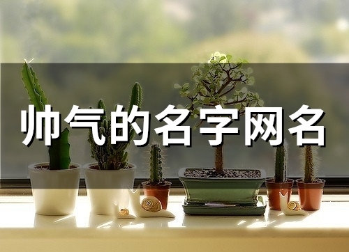 帅气的名字网名(精选254个) 帅气的名字网名(精选254个)