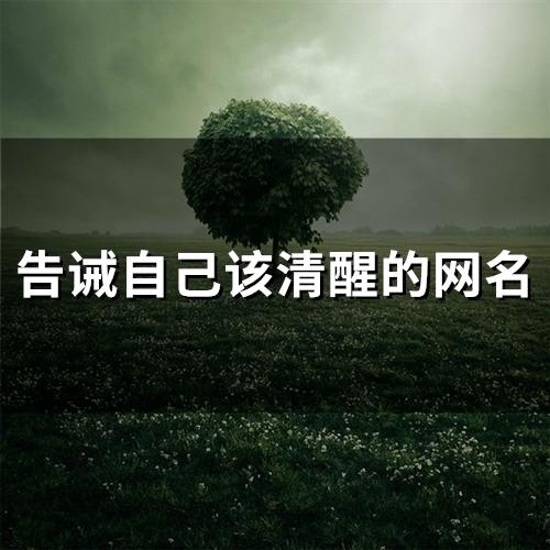 告诫自己该清醒的网名(精选163个)