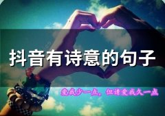 抖音有诗意的句子(66句)
