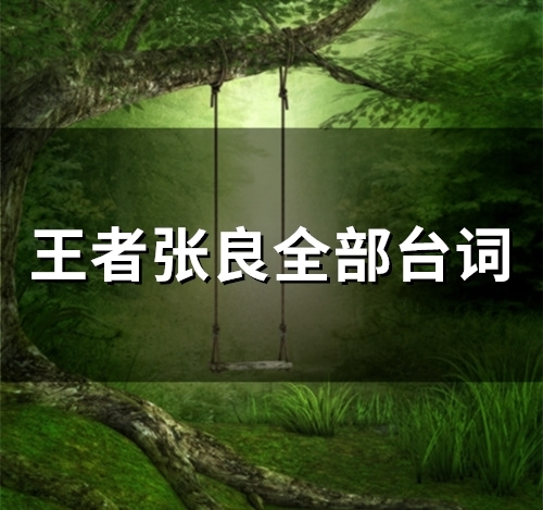 王者张良全部台词(27句) 王者张良全部台词(27句)