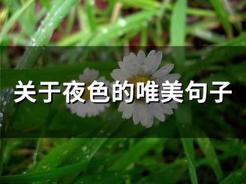 关于夜色的唯美句子(66句) 关于夜色的唯美句子(66句)