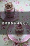 感谢朋友陪伴的句子(33句)