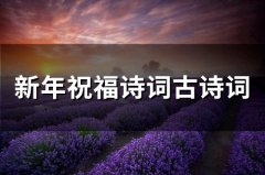 新年祝福诗词古诗词(精选54句)